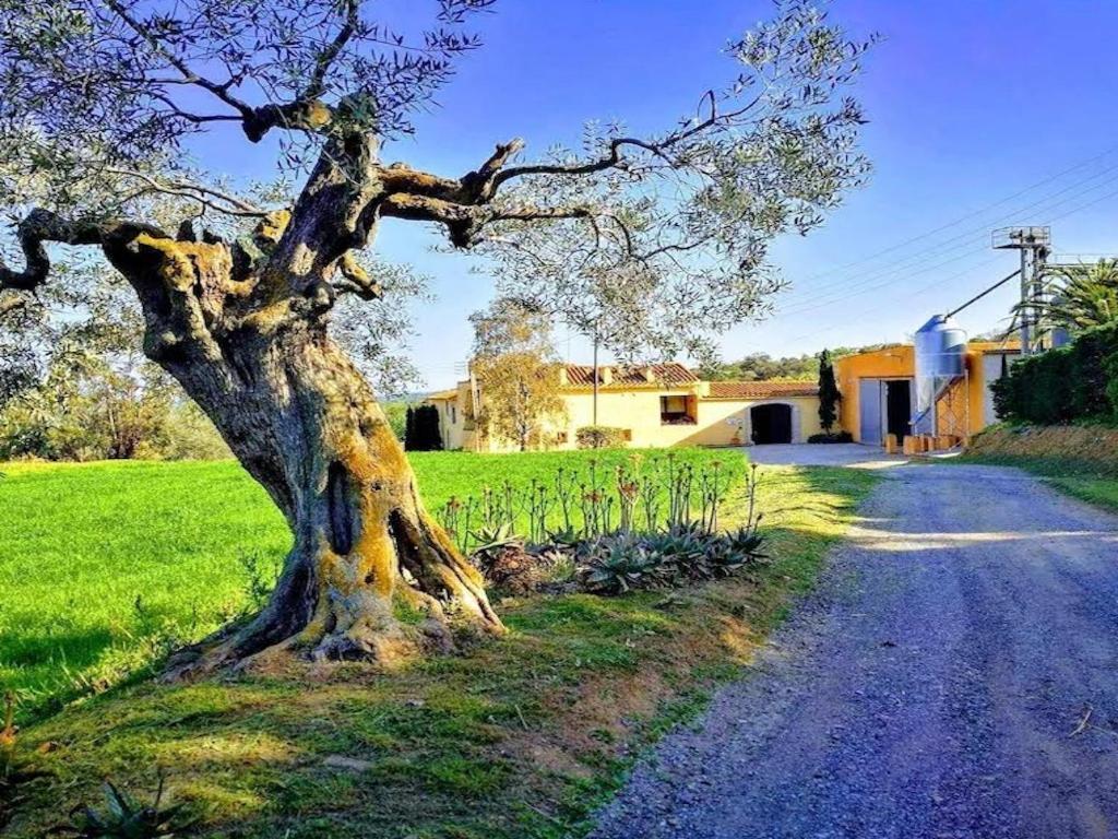 Rural Mas Hortus Girona Exterior foto